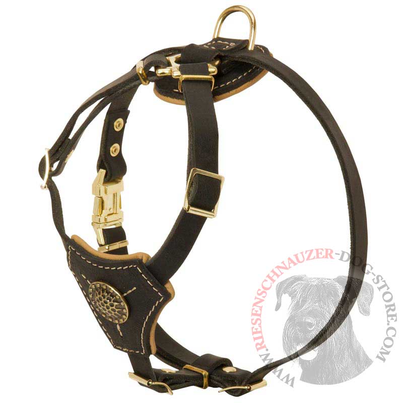 Tracking Walking Walking Leather Riesenschnauzer Harness for Puppies