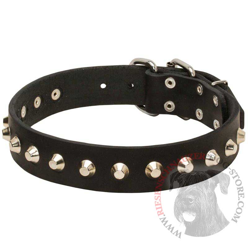 Gorgeous Wide Leather Riesenschnauzer Collar - Fashion Exclusive Design