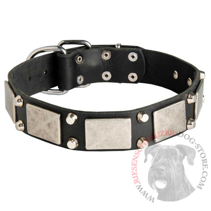Leather Riesenschnauzer Collar Decorated with Nickel Cones and Plates