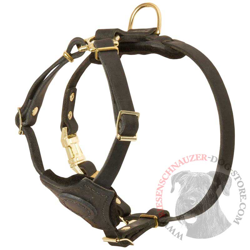 Spruce Leather Riesenschnauzer Harness With Small Chest Plate