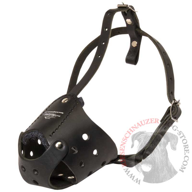 Everyday Leather Riesenschnauzer Muzzle for Training