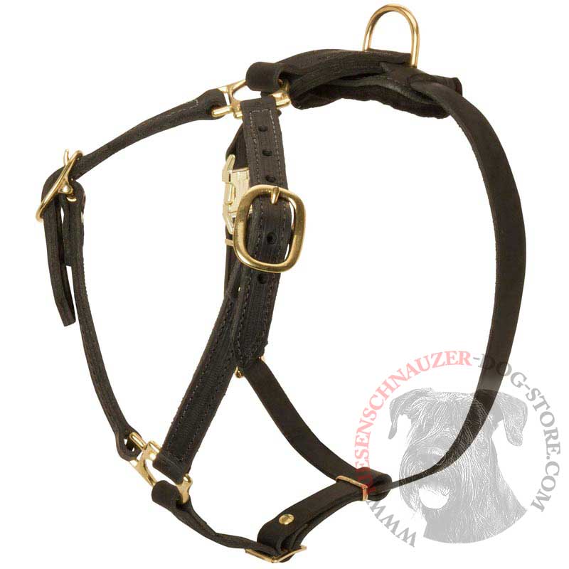 Y-Shaped Leather Riesenschnauzer Harness for Tracking and Training