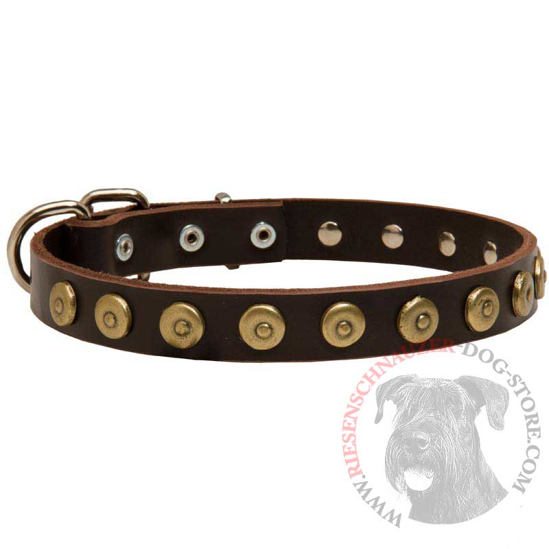 Leather Riesenschnauzer Collar with Brass Dotted Circles for Fashion Walking
