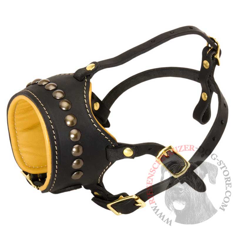 Open Nose Studded Leather Riesenschnauzer Muzzle With Nappa Padding