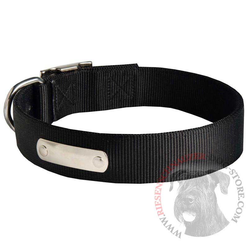 Any Weather Nylon Riesenschnauzer Collar with Name Tag