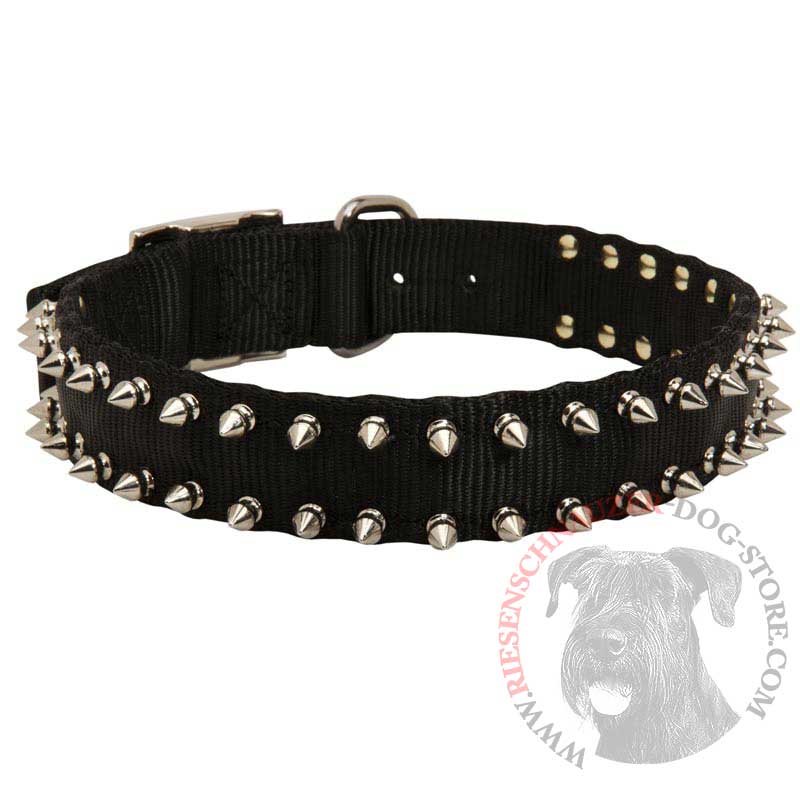 Riesenschnauzer Nylon Collar Spiked
