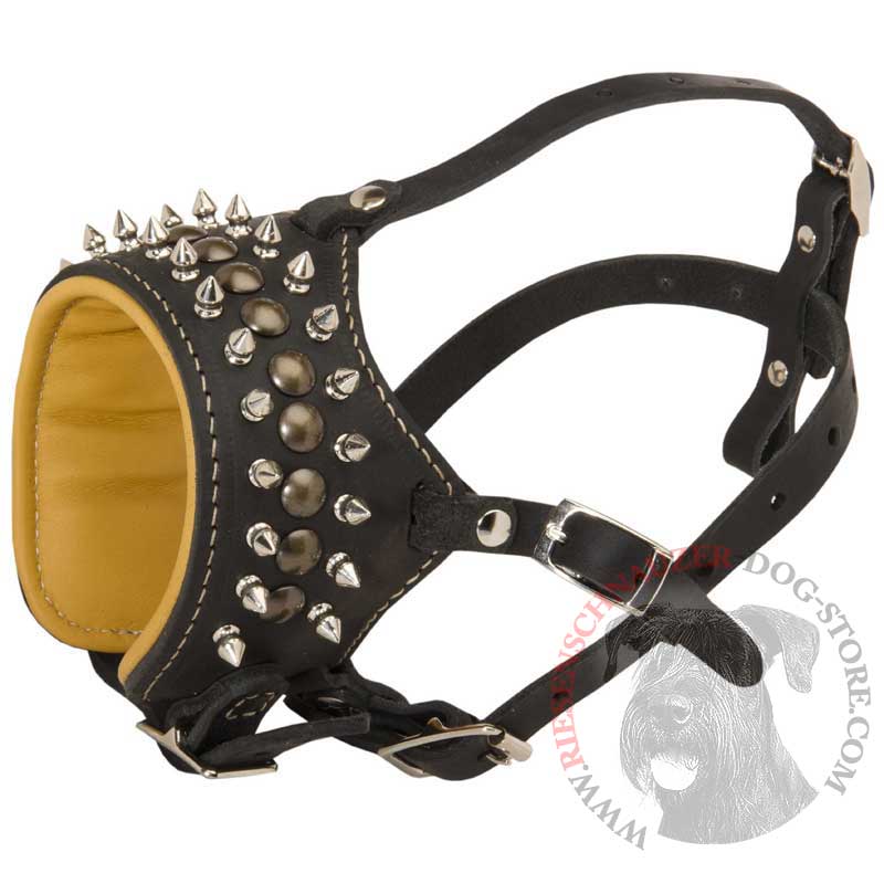Royal Spiked and Studded Leather Riesenschnauzer Muzzle
