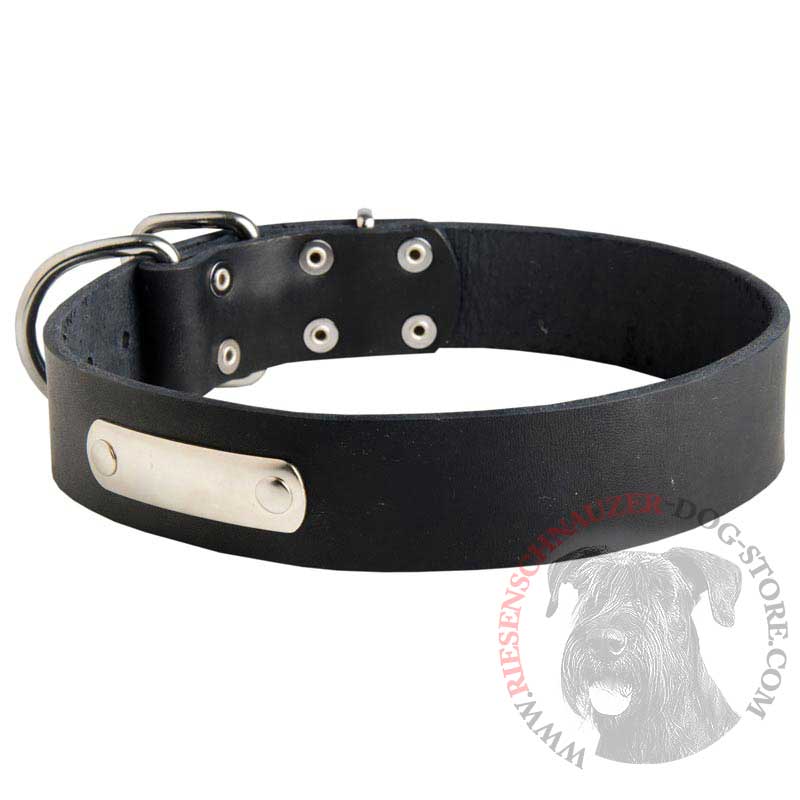 Classic Leather Riesenschnauzer Collar with Identification Tag
