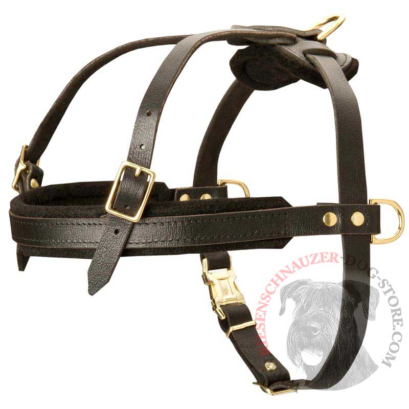 Leather Riesenschnauzer Harness for Tracking and Pulling