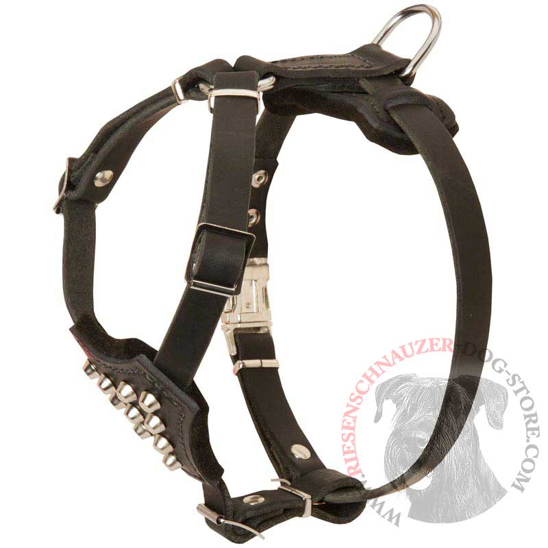 Studded Leather Riesenschnauzer Puppy Harness