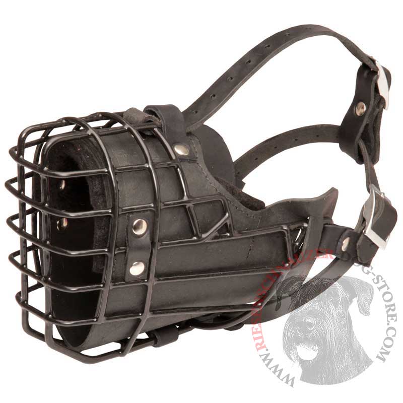 Unique Design Wire Riesenschnauzer Muzzle for Winter Activities - Click Image to Close