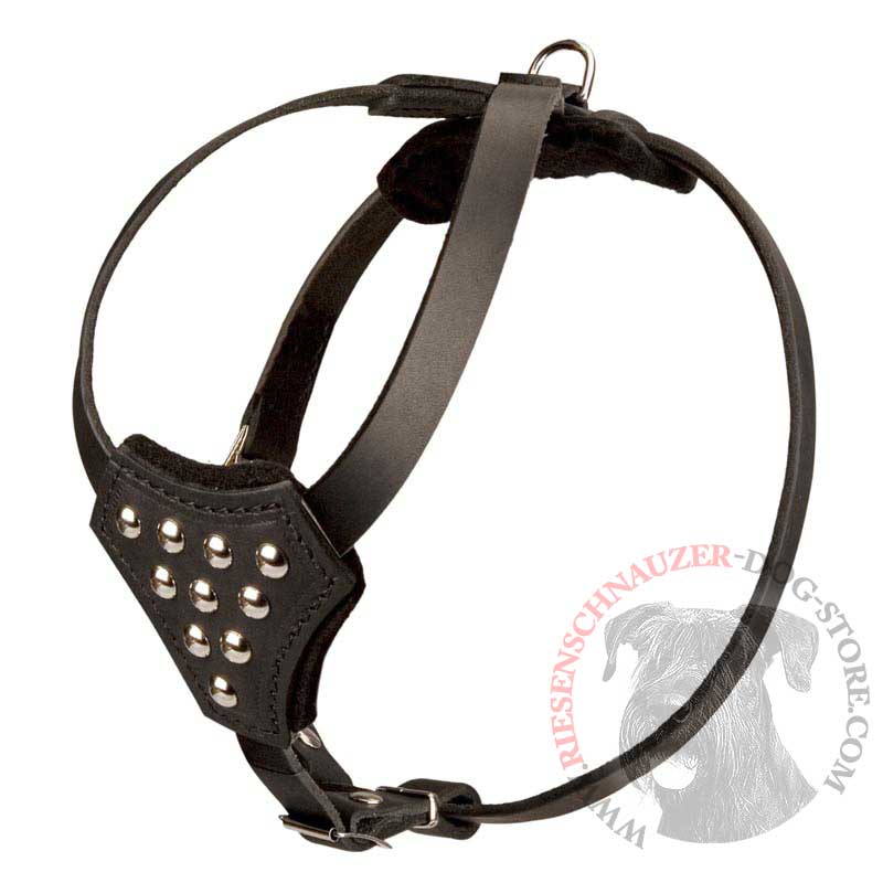 Designer Leather Riesenschnauzer Harness with Adjustable Straps for Puppy Walking and Training