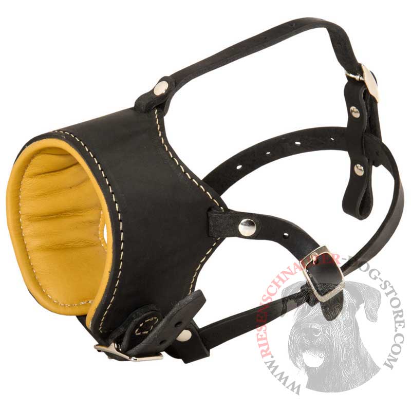 Snout Short Leather Riesenschnauzer Muzzle Padded with Nappa Leather