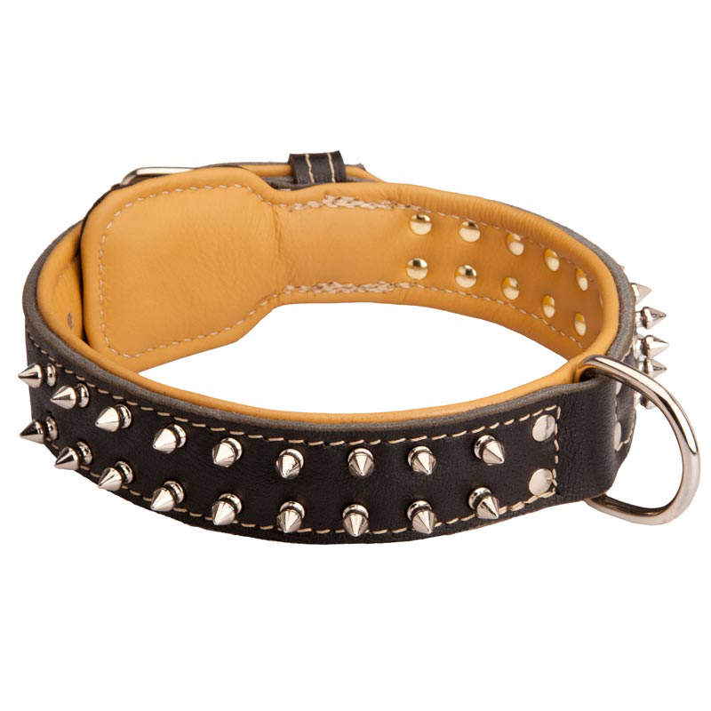 Spiked Riesenschnauzer Collar Padded with Nappa Leather