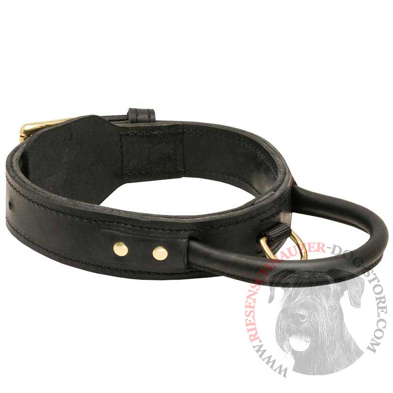 leather collar with handle