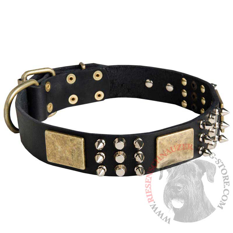 Spiked Leather Riesenschnauzer Collar with Plates and Cones