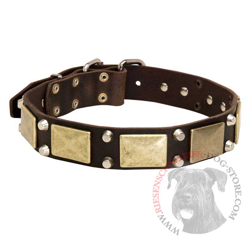 Leather Riesenschnauzer Collar with Studs and Plates