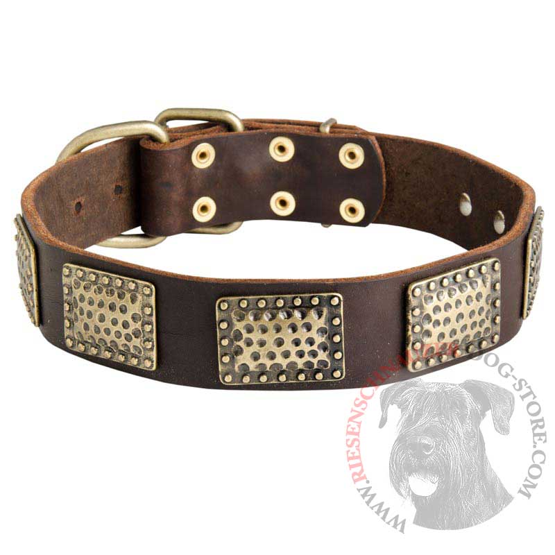 Leather Riesenschnauzer Collar with Massive Brass Plates