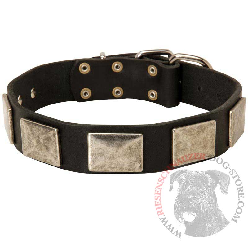 Leather Riesenschnauzer Collar with Large Nickel Plates