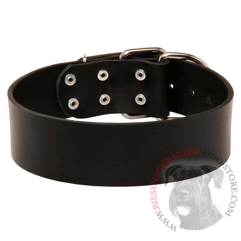 Extra Wide Leather Riesenschnauzer Collar for Professional Training