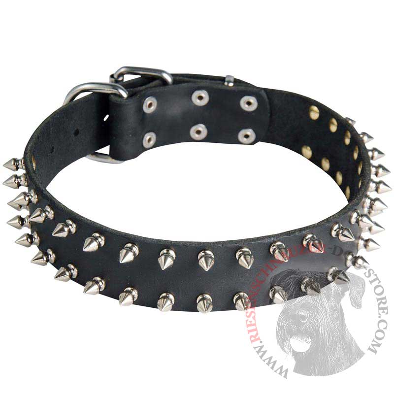 Leather Riesenschnauzer Collar with 2 Rows of Nickel Spikes