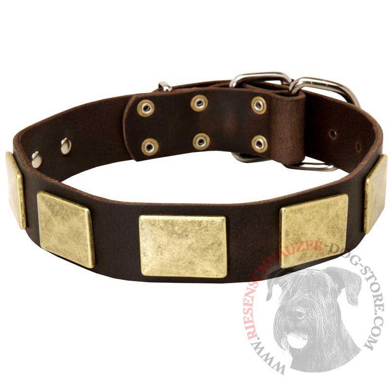 Handcrafted Leather Riesenschnauzer Collar With Vintage Massive Plates