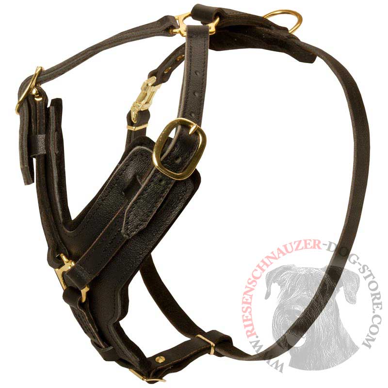 Padded Leather Riesenschnauzer Harness for Agitation Training