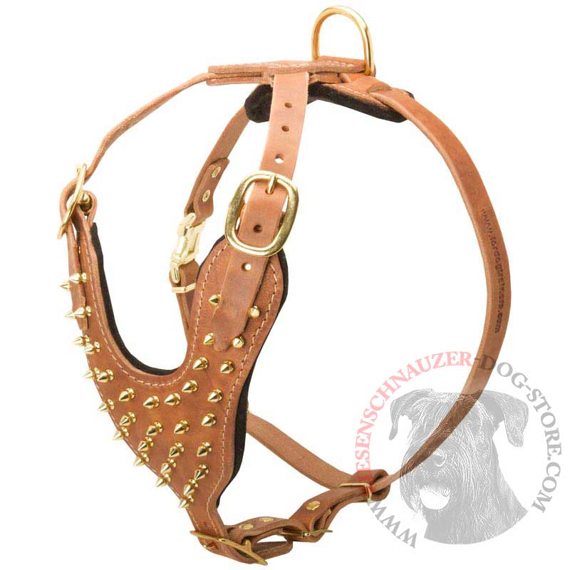 Brass Spiked Leather Riesenschnauzer Harness for Fashion Walking