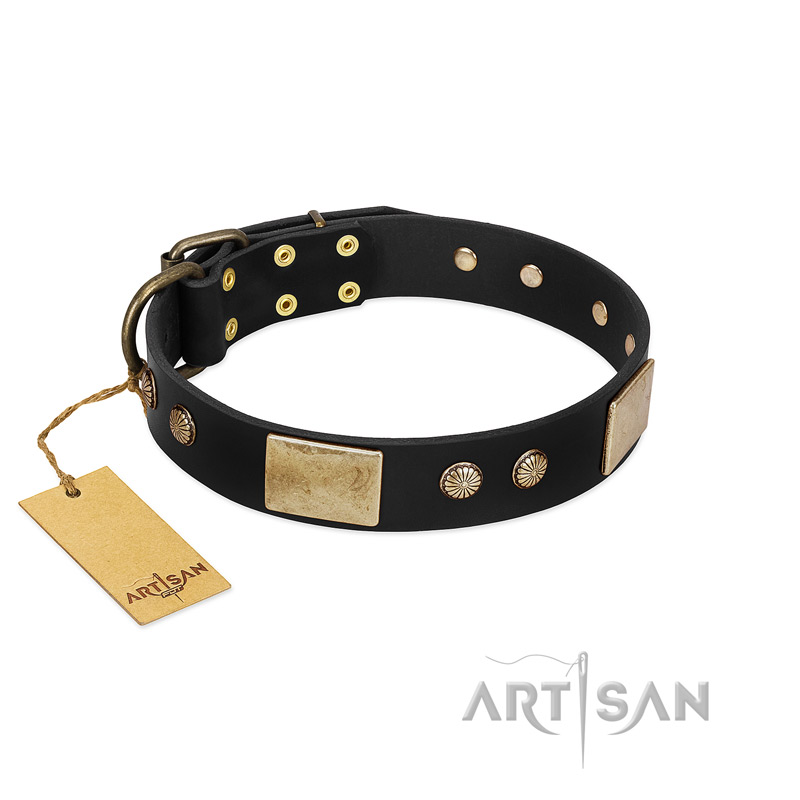 "Antique Gloss" FDT Artisan Black Leather Riesenschnauzer Collar with Bronze-like Plates and Small Studs