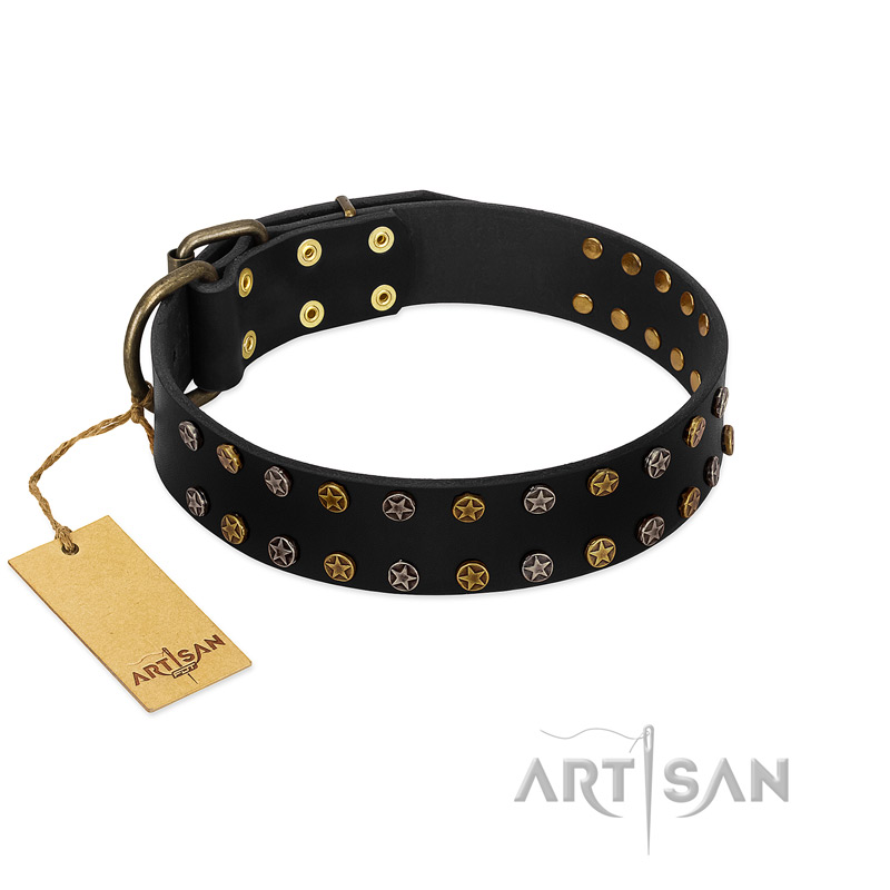"Star Way" FDT Artisan Black Leather Riesenschnauzer Collar with Bronze-like and Silver-like Star Studs
