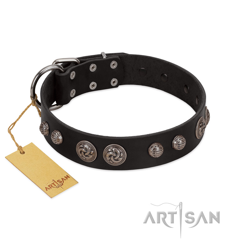 "Tricky Ricky" FDT Artisan Black Leather Riesenschnauzer Collar Adorned with Silver-Like Conchos