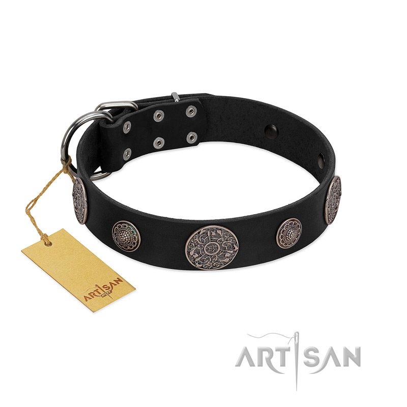 "Ad Infinitum" Durable FDT Artisan Black Leather Riesenschnauzer Collar with Chrome Plated Brooches