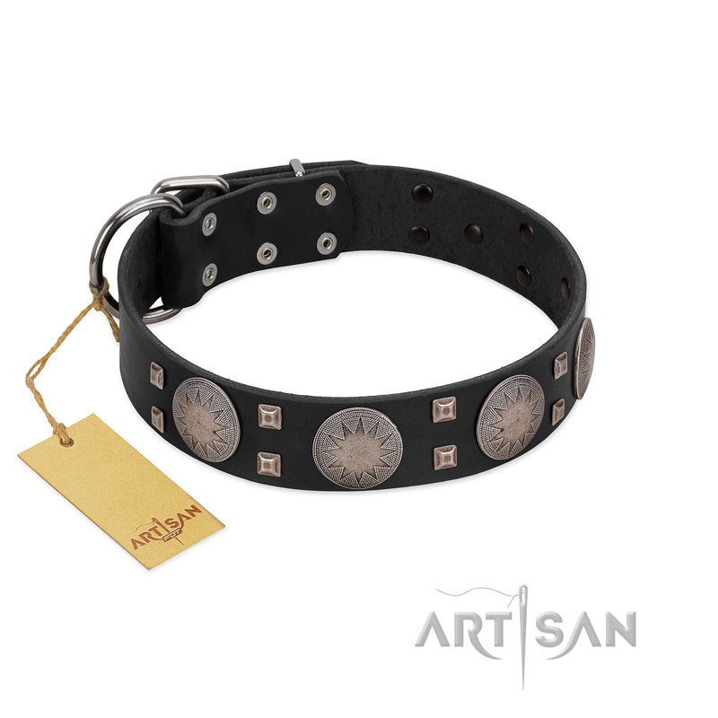 "Sun in Shining" Modern FDT Artisan Black Leather Riesenschnauzer Collar with Studs and Stars