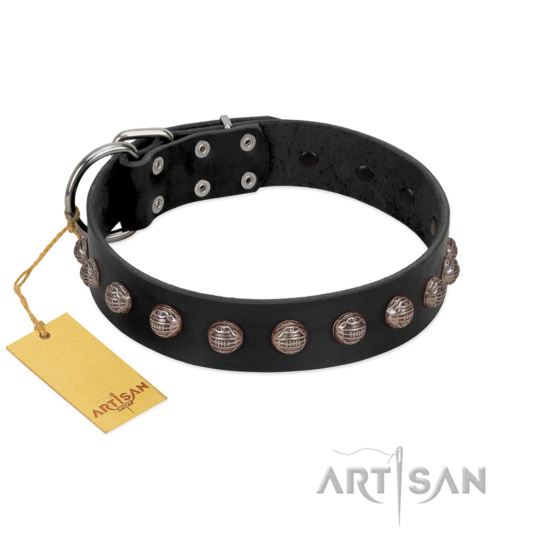 "Bizarre Affection" Designer Handmade FDT Artisan Black Leather Riesenschnauzer Collar