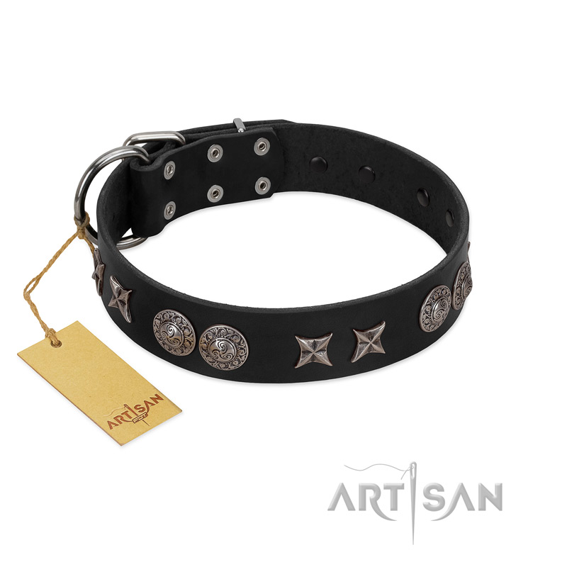 "Scythian Silver" Stylish Handmade FDT Artisan Black Leather Riesenschnauzer Collar