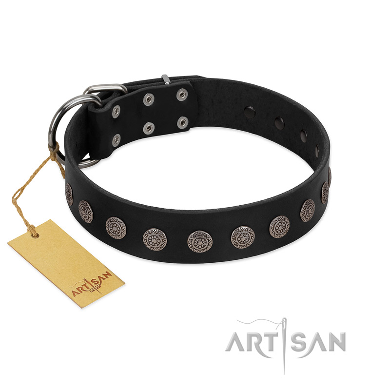 "Silent Star" Handmade FDT Artisan Designer Black Leather Riesenschnauzer Collar with Engraved Plates