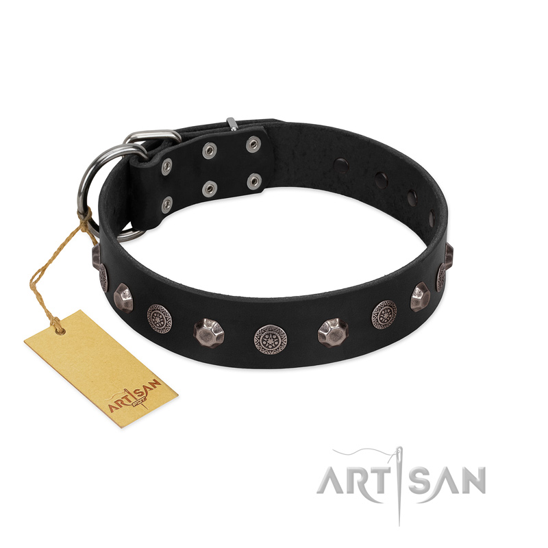 "Black Knight" Handmade FDT Artisan Black Leather Riesenschnauzer Collar with Silver-Like Studs