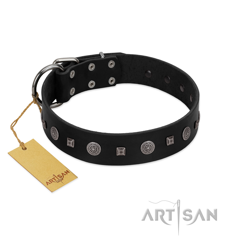 "Mr. Elegance" Designer FDT Artisan Black Leather Riesenschnauzer Collar with Silver-Like Studs