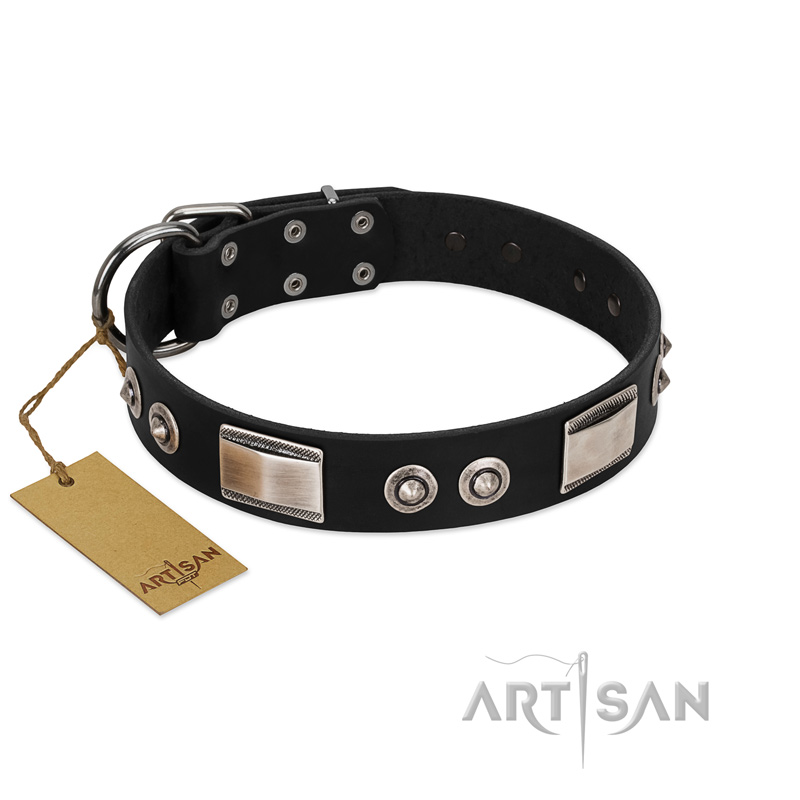 "Grand Wear" FDT Artisan Black Leather Riesenschnauzer Collar with Shining Plates and Spiked Studs