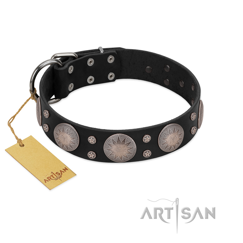 "Starry Sky" Trendy FDT Artisan Black Leather Riesenschnauzer Collar with Large Brooches