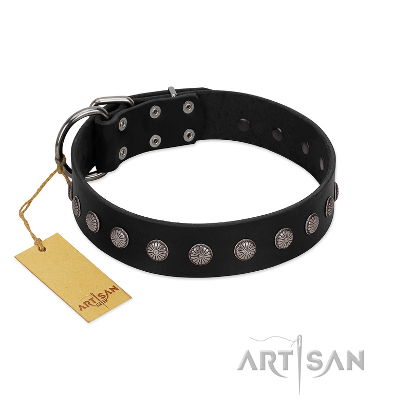 "Silver Flower" Exclusive FDT Artisan Black Leather Riesenschnauzer Collar with Silver-Like Studs