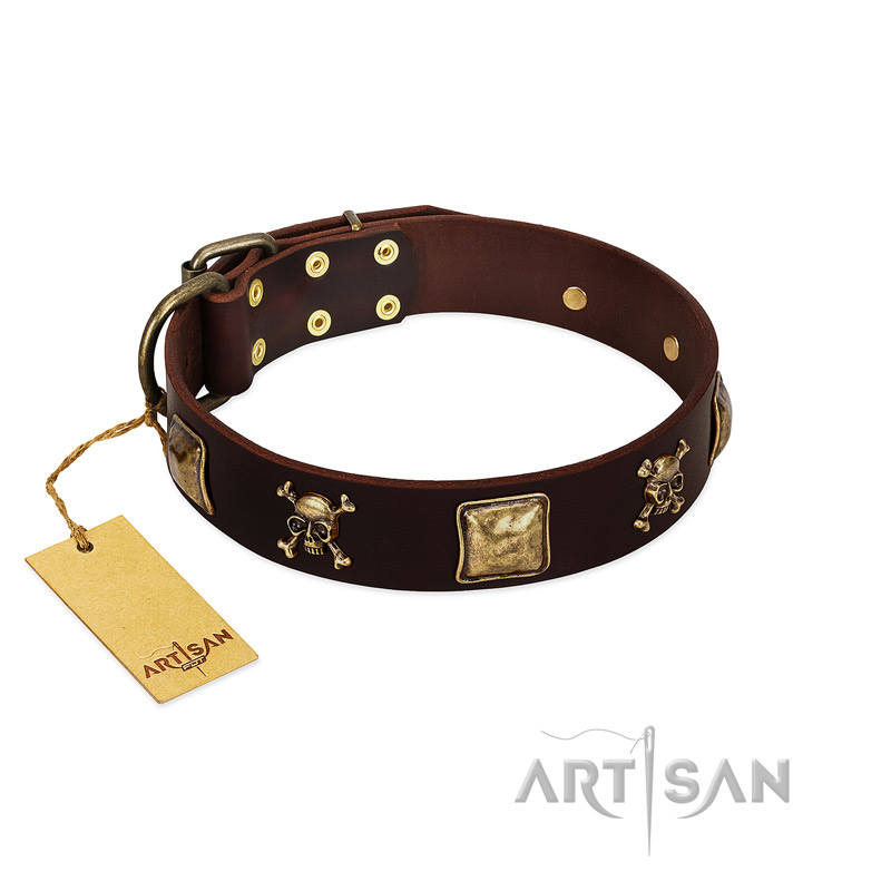"Crazy Pirate" FDT Artisan Brown Leather Riesenschnauzer Collar with Old Bronze-Plated Skulls and Plates