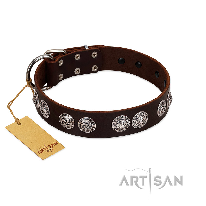 "High and Mighty" FDT Artisan Classy Brown Leather Riesenschnauzer Collar with Embellished Brooches