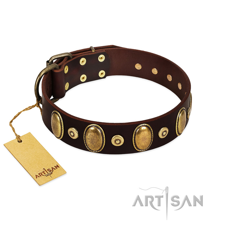 "Retro Pusle" FDT Artisan Brown Leather Riesenschnauzer Collar with Old Bronze-like Studs and Oval Brooches