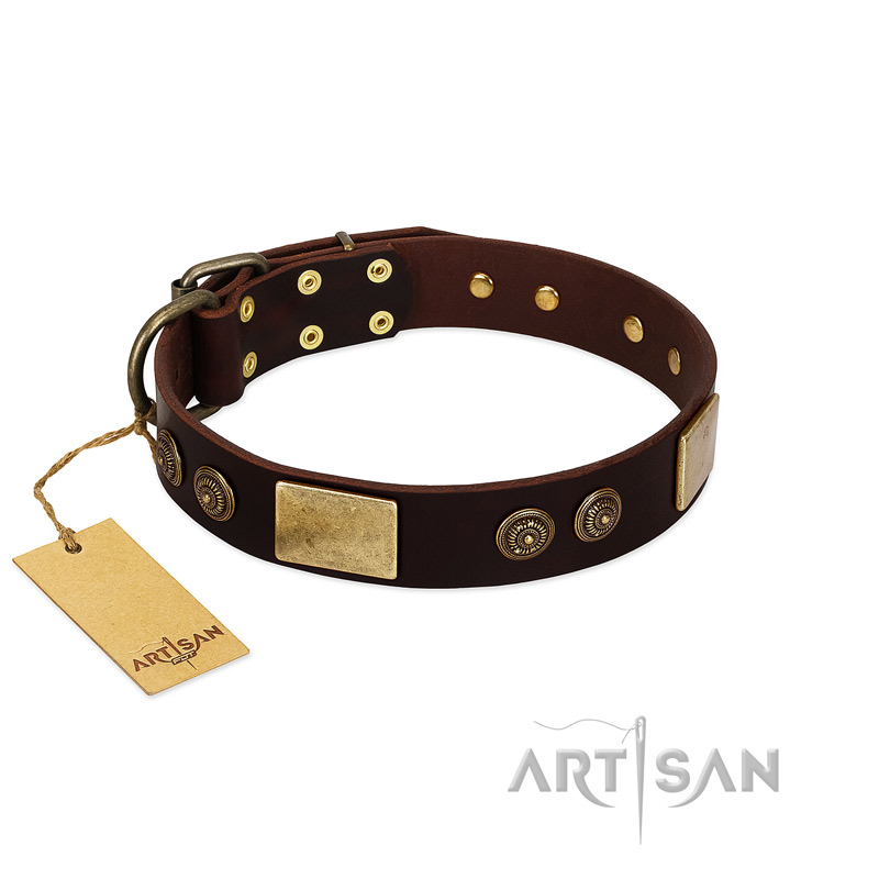 "Bow-Wow Effect" FDT Artisan Brown Leather Riesenschnauzer Collar with Plates and Ornate Studs