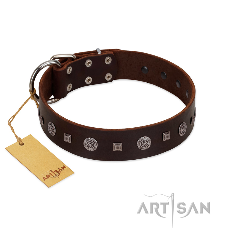 "Pure Sensation" Exclusive FDT Artisan Brown Leather Riesenschnauzer Collar with Fancy Brooches and Studs
