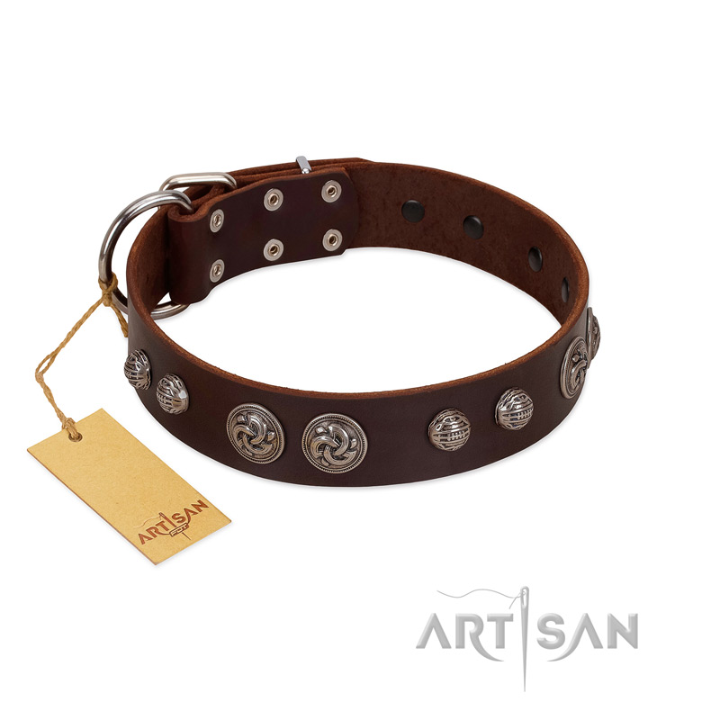 "Choco Brownie" FDT Artisan Brown Leather Riesenschnauzer Collar Adorned with Silver-Like Conchos