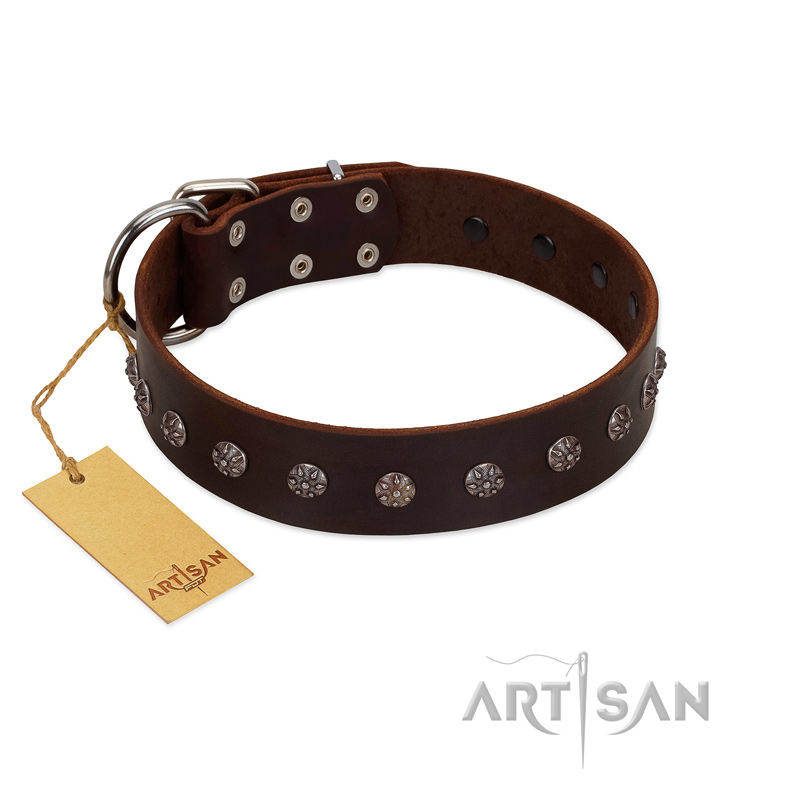 "Graceful Classic" Mod FDT Artisan Brown Leather Riesenschnauzer Collar