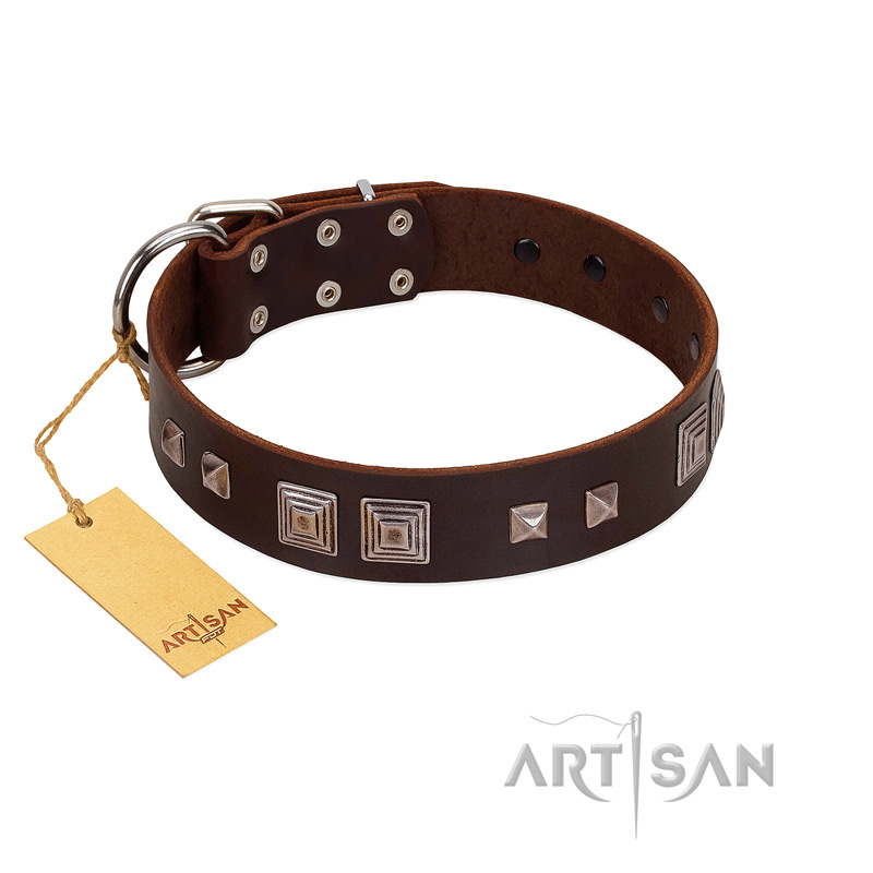"Object of Virtu" FDT Artisan Brown Leather Riesenschnauzer Collar with Old Silver-like Square Studs and Pyramids