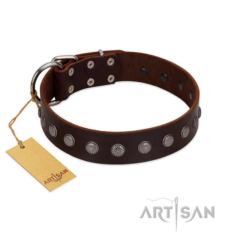 "Spring Flower" Stylish FDT Artisan Brown Leather Riesenschnauzer Collar for Comfy Walks